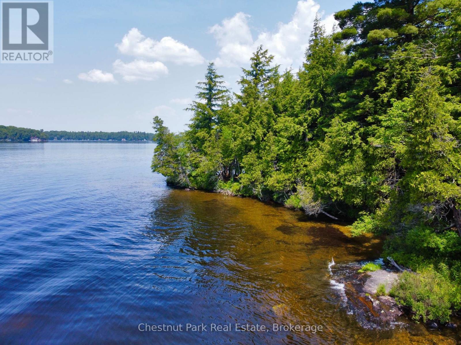 1 Cedar Island, Muskoka Lakes, Ontario  P0B 1J0 - Photo 19 - X12112330