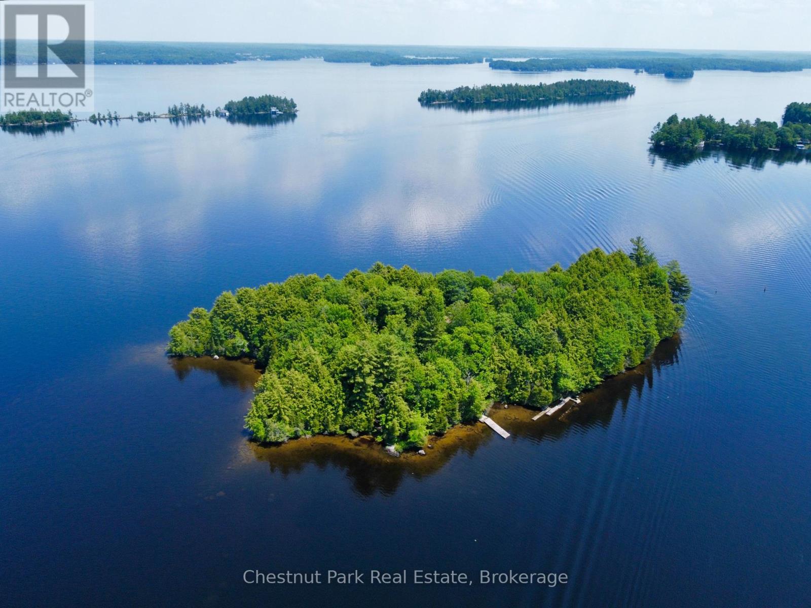 1 Cedar Island, Muskoka Lakes, Ontario  P0B 1J0 - Photo 22 - X12112330
