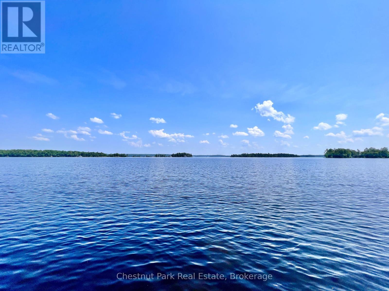 1 Cedar Island, Muskoka Lakes, Ontario  P0B 1J0 - Photo 6 - X12112330