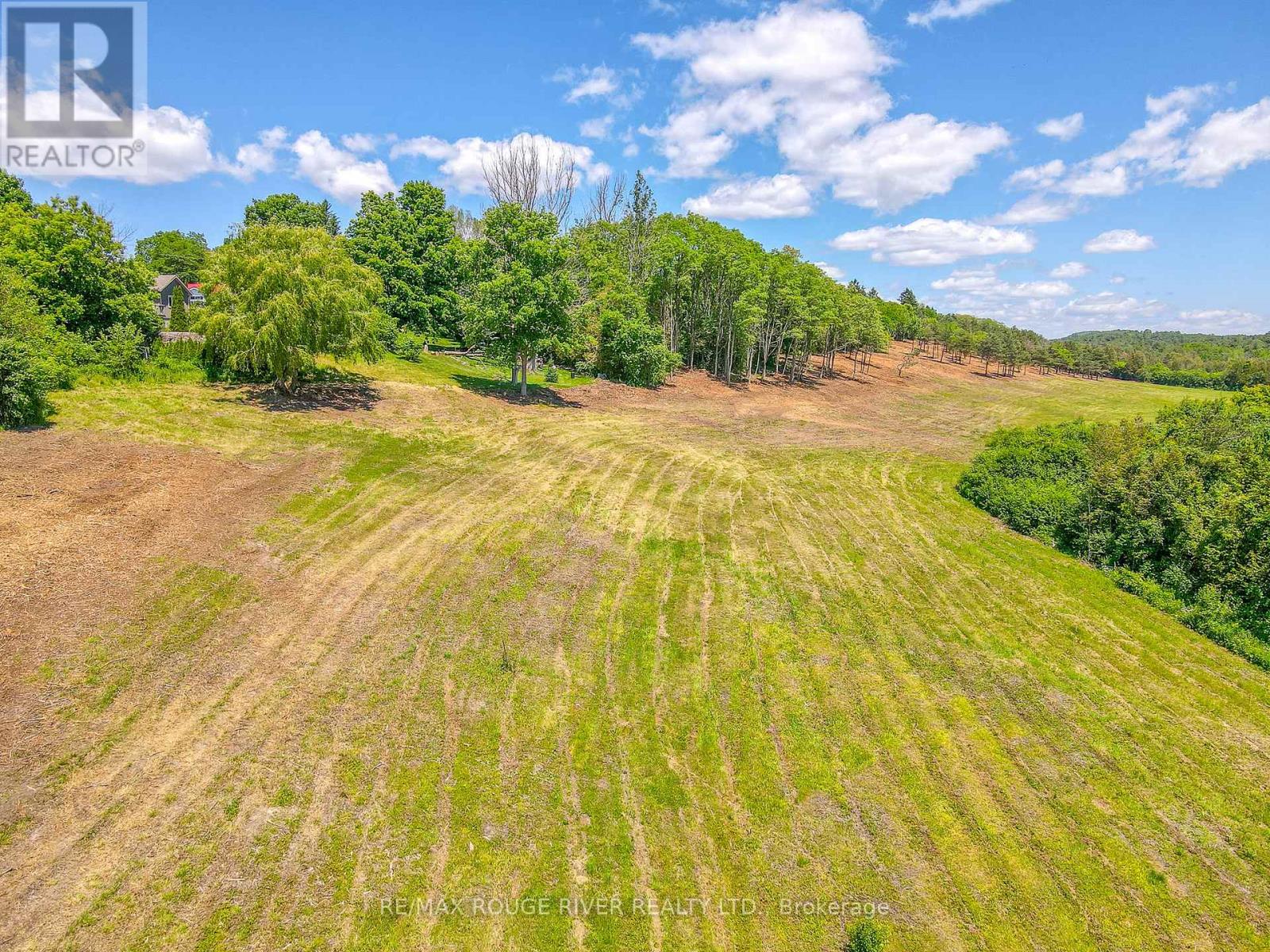 Con 1 Slater Street, Hamilton Township, Ontario  K9A 4J9 - Photo 4 - X12005513