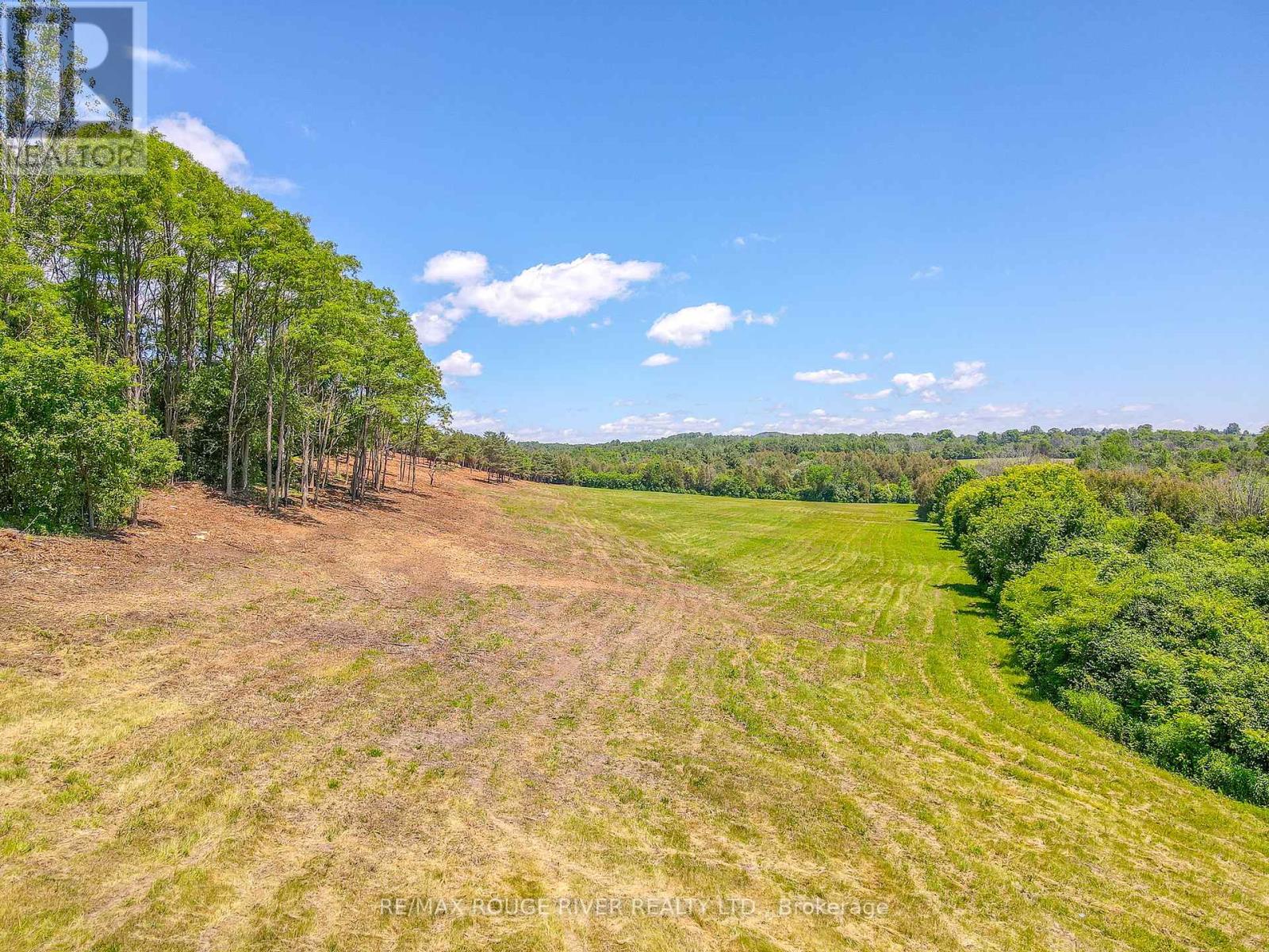 Con 1 Slater Street, Hamilton Township, Ontario  K9A 4J9 - Photo 5 - X12005513