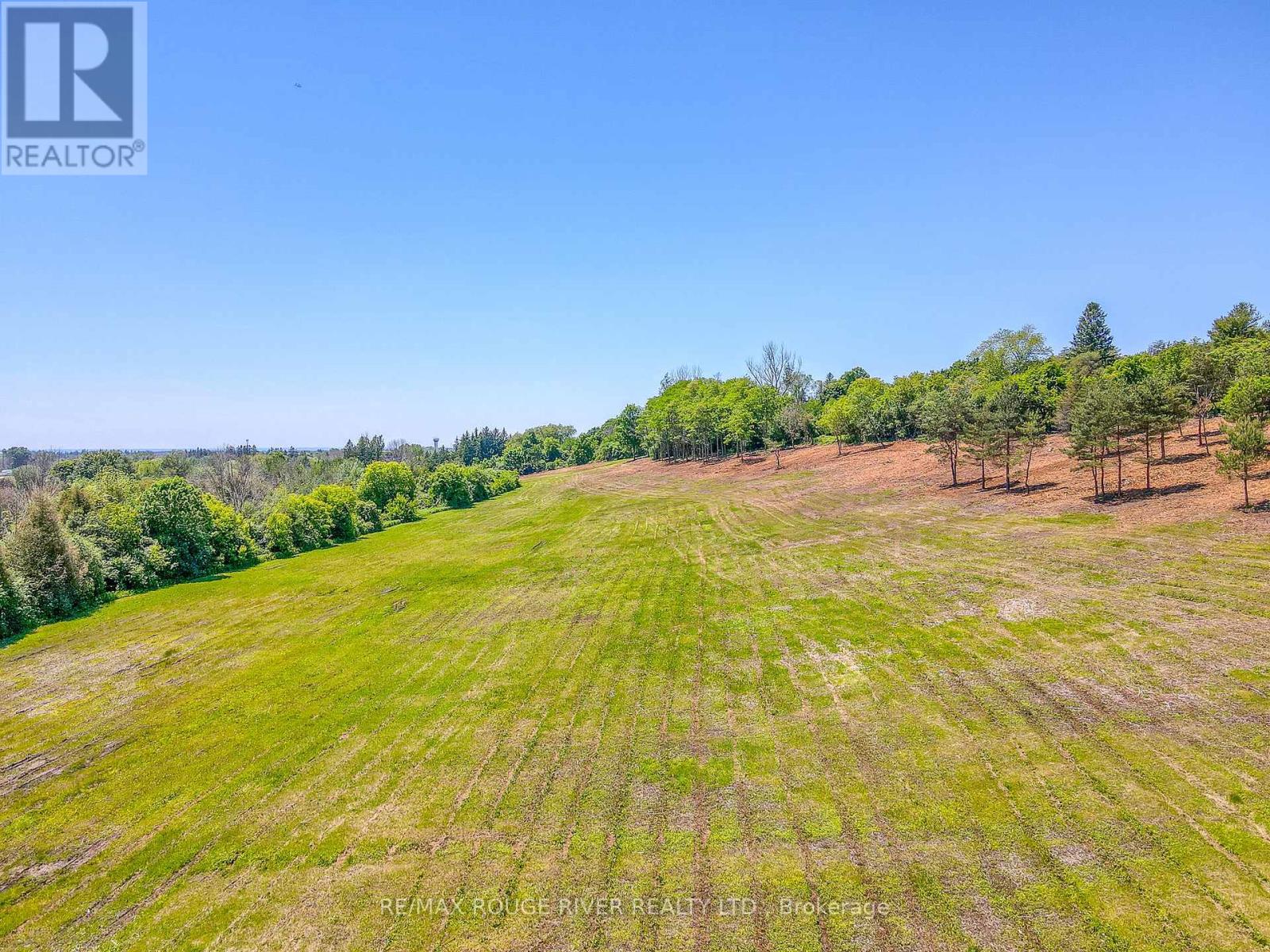 Con 1 Slater Street, Hamilton Township, Ontario  K9A 4J9 - Photo 6 - X12005513