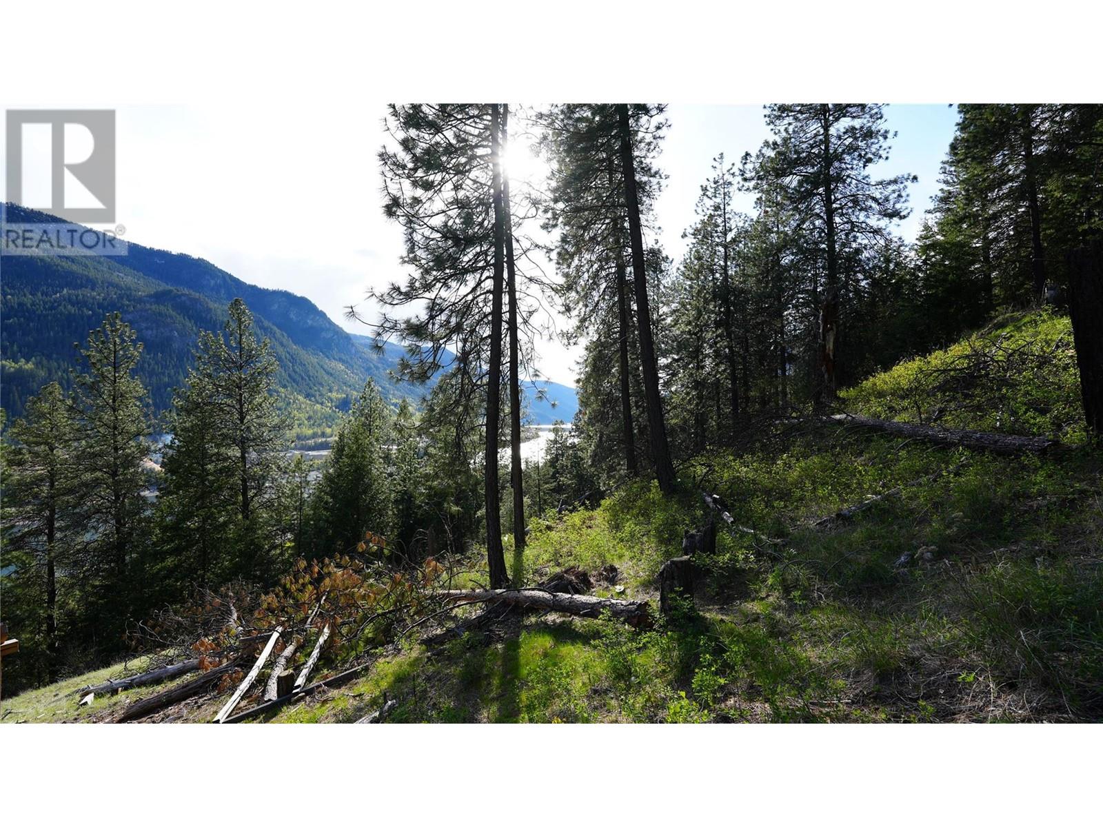 Property at 3600 Borrow Pit Road image 5