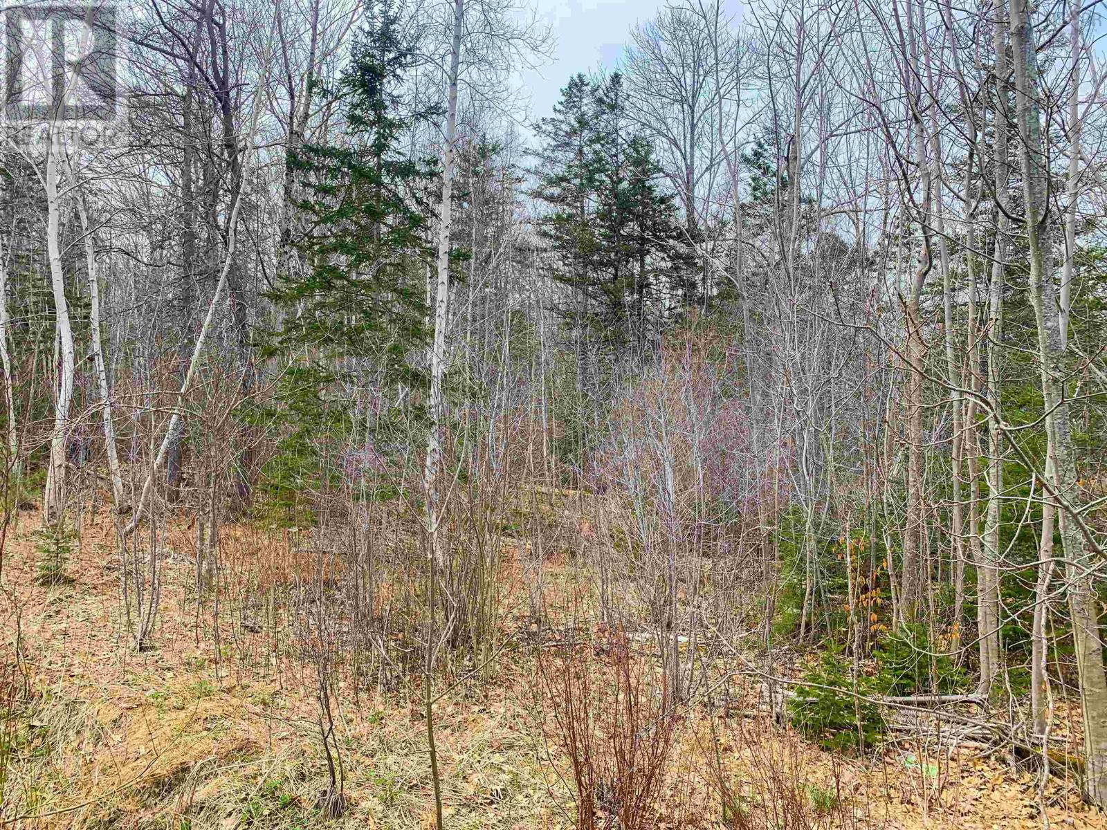 Lot 3-B-C Benson Avenue, Bear River, Nova Scotia  B0S 1B0 - Photo 5 - 202509267