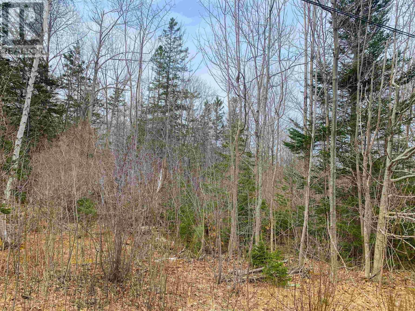 Lot 3-B-C Benson Avenue, Bear River, Nova Scotia  B0S 1B0 - Photo 4 - 202509267