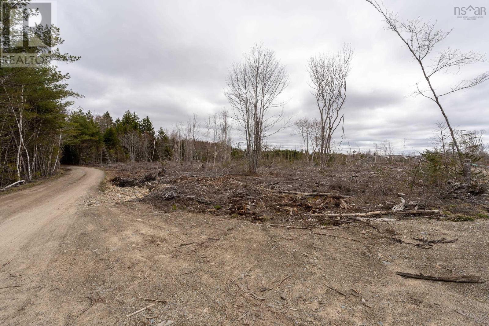 Lot 12 Patrice Road, Corberrie, Nova Scotia  B0W 3T0 - Photo 5 - 202509276