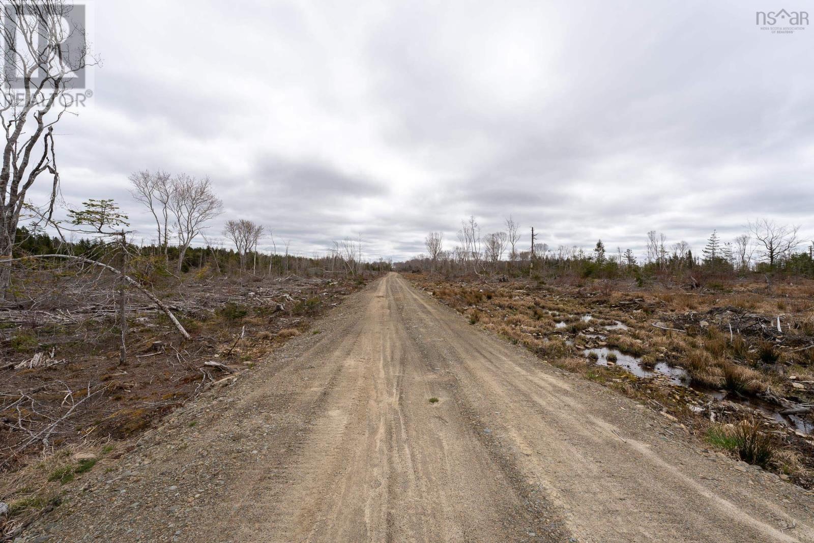 Lot 12 Patrice Road, Corberrie, Nova Scotia  B0W 3T0 - Photo 6 - 202509276