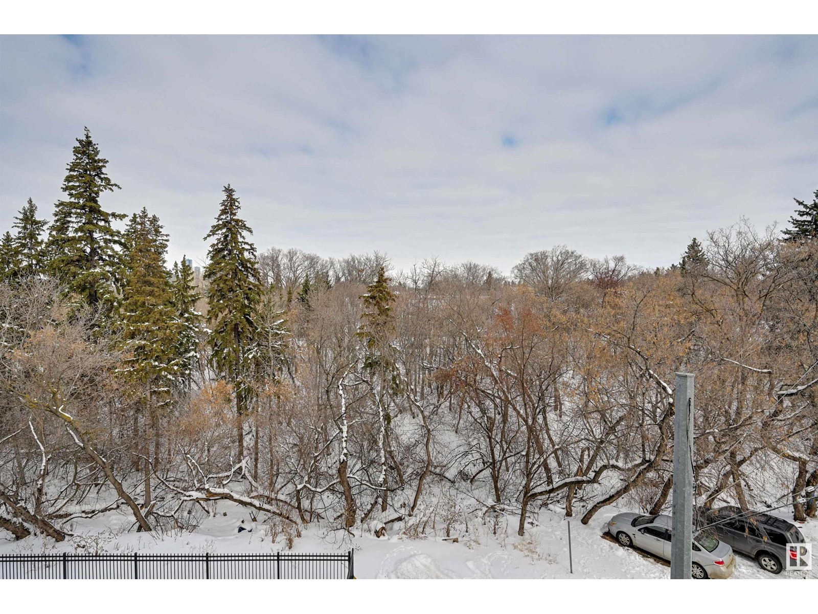 #306 9316 82 Av Nw Nw, Edmonton, Alberta  T6C 0Z6 - Photo 33 - E4433380