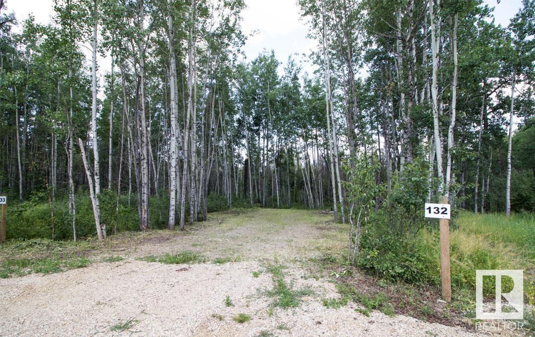 #132 5515 Twp Rd 550, Rural Lac Ste. Anne County, Alberta  T0E 0L0 - Photo 2 - E4433382