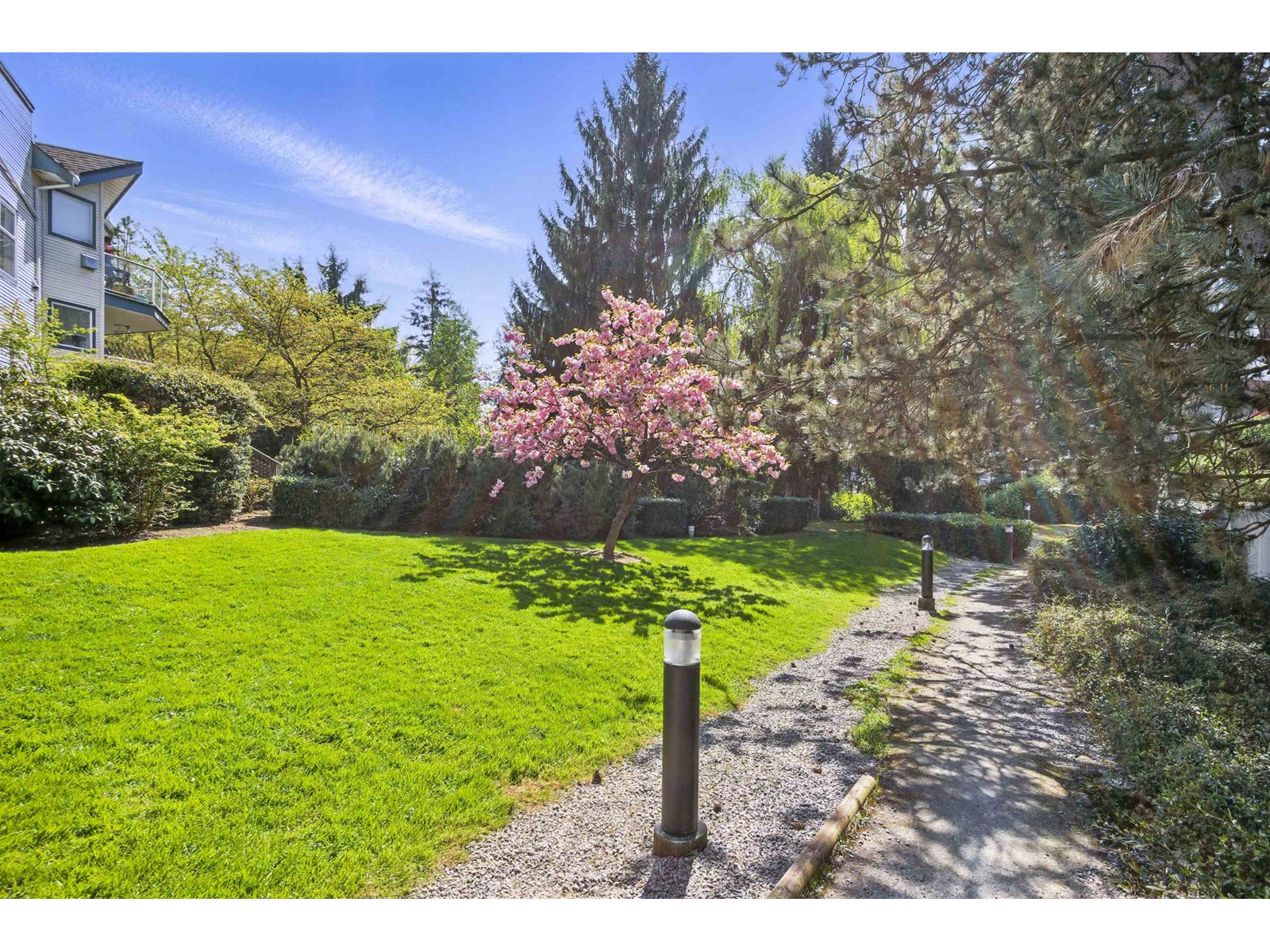 323 27358 32 Avenue, Langley, British Columbia  V4W 3M5 - Photo 5 - R2995203