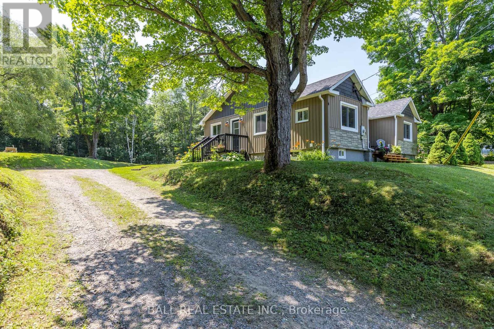 Property at 209 MONCK STREET image 4
