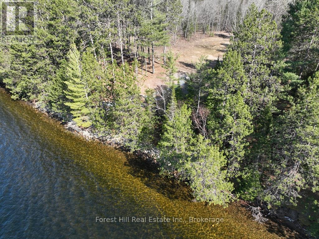 4185 Kawagama Lake Road, Algonquin Highlands, Ontario  P0A 1E0 - Photo 14 - X12112602