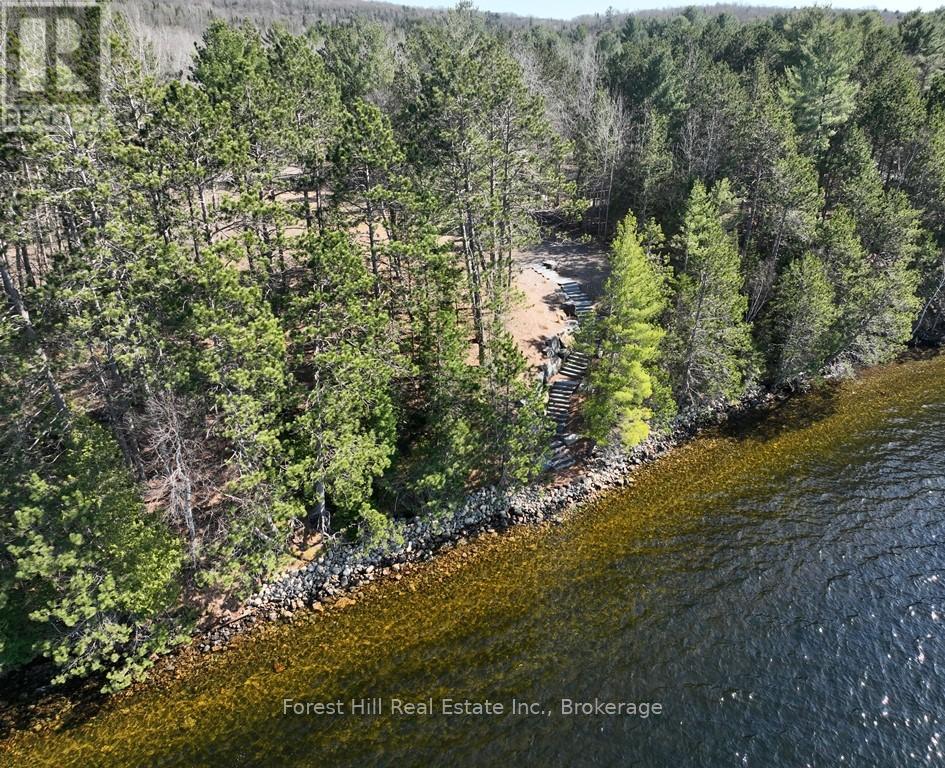 4185 Kawagama Lake Road, Algonquin Highlands, Ontario  P0A 1E0 - Photo 16 - X12112602