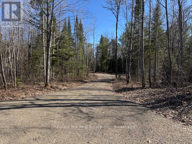4185 Kawagama Lake Road, Algonquin Highlands, Ontario  P0A 1E0 - Photo 18 - X12112602