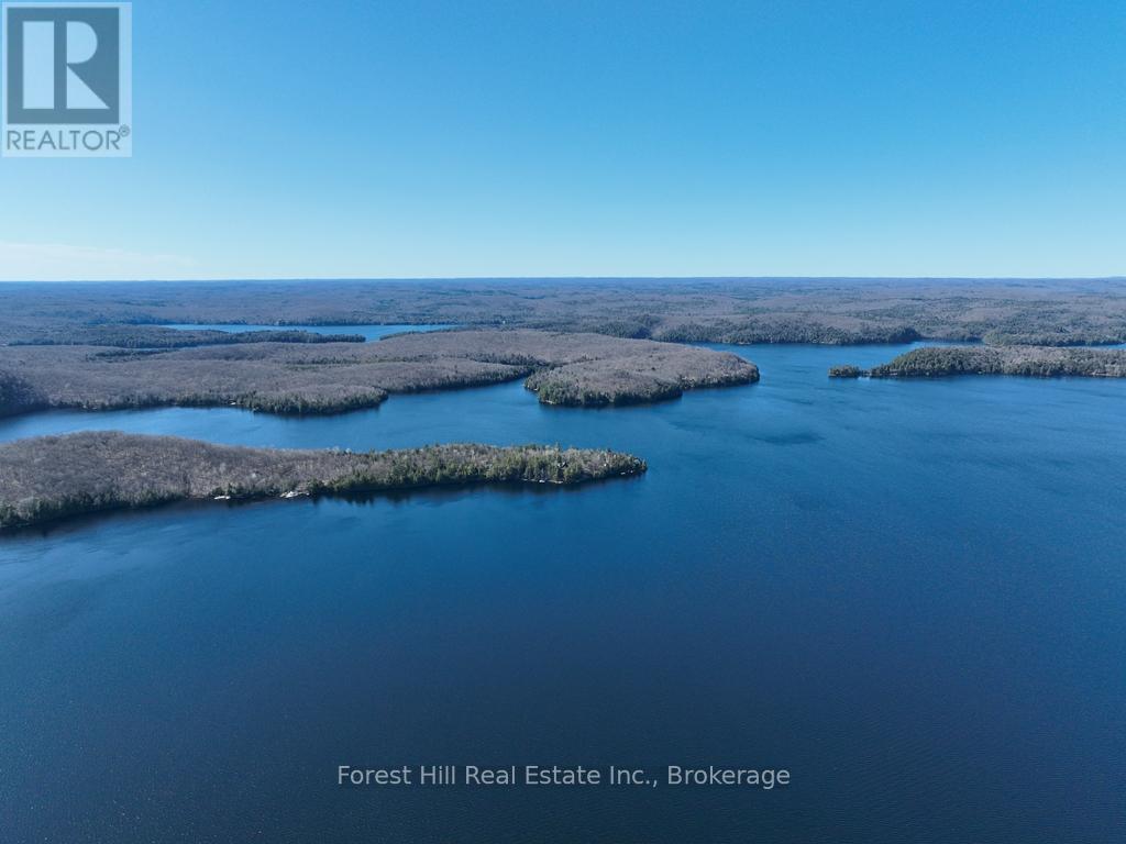 4185 Kawagama Lake Road, Algonquin Highlands, Ontario  P0A 1E0 - Photo 6 - X12112602