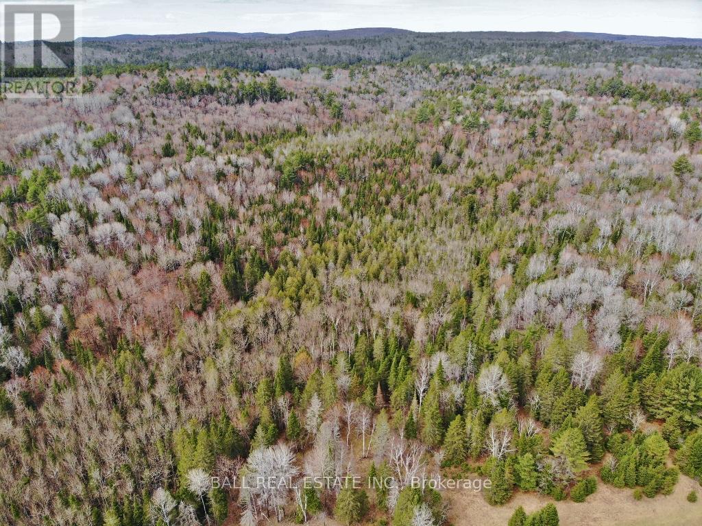 564 Mayo Lake Road, Carlow/mayo, Ontario K0L 2M0 - Photo 7 - X12112815