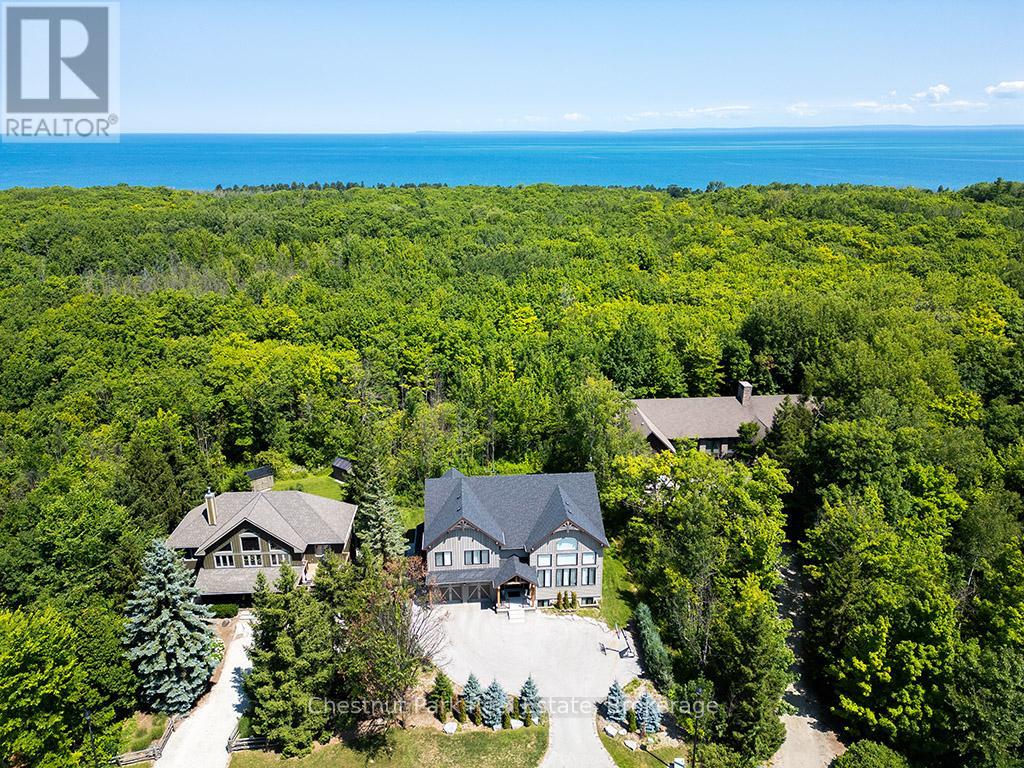 163 Alta Road, Blue Mountains, Ontario  L9Y 0T2 - Photo 3 - X12112829