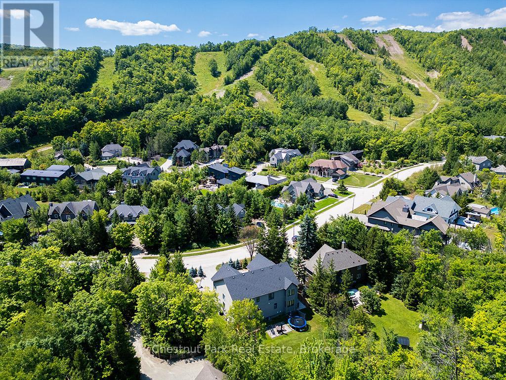 163 Alta Road, Blue Mountains, Ontario  L9Y 0T2 - Photo 4 - X12112829