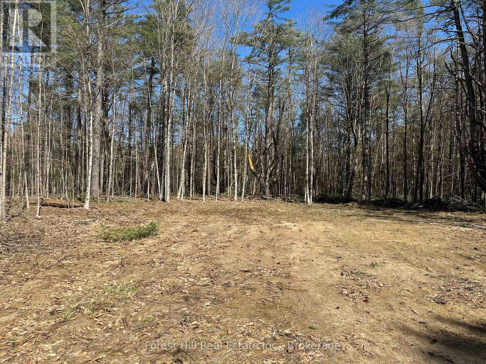 1111 Xavier Street, Gravenhurst, Ontario  P0E 1G0 - Photo 3 - X12112898