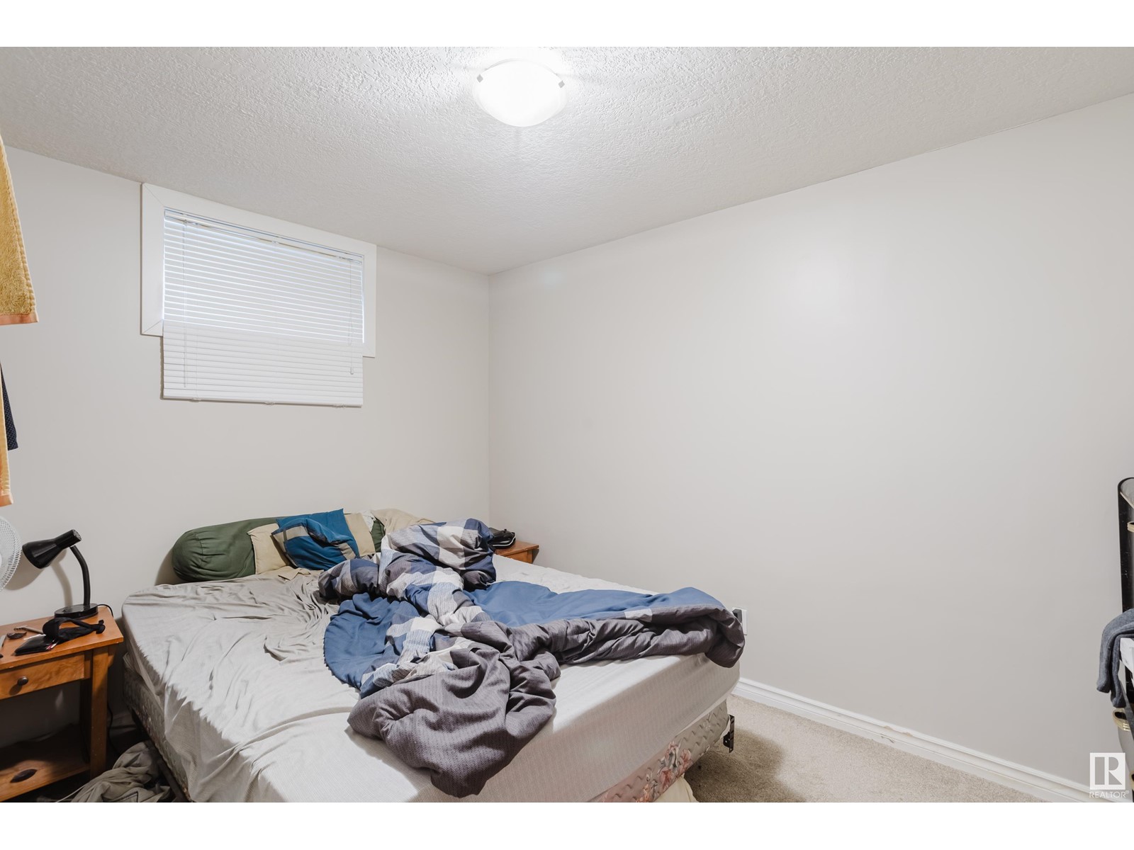 9622 157 St Nw Nw, Edmonton, Alberta  T5P 2T2 - Photo 44 - E4425917