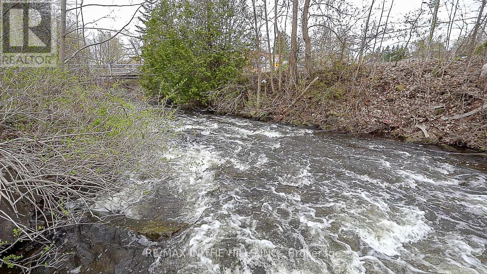 1532 Queen Street, Caledon, Ontario  L7K 0C2 - Photo 7 - W12112816