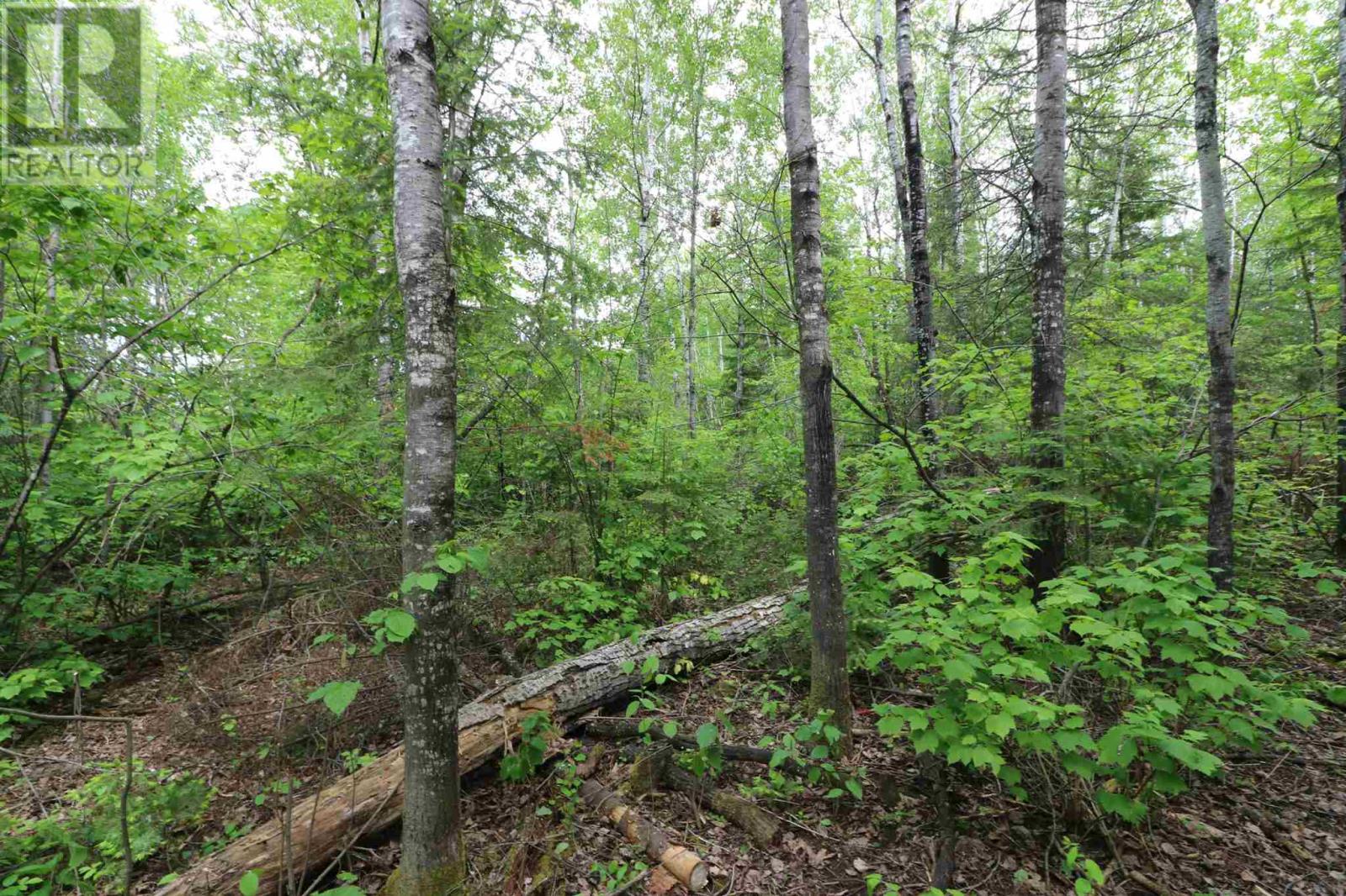1831 Hwy 71, Sabaskong Bay, Lake Of The Woods, Nestor Falls, Ontario  P0X 1K0 - Photo 34 - TB221892