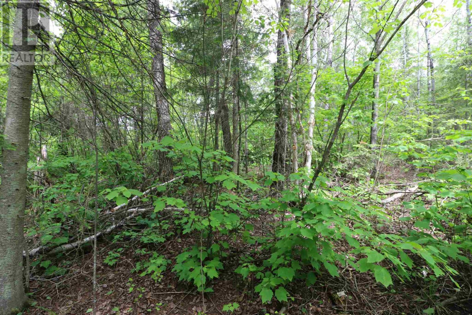 1831 Hwy 71, Sabaskong Bay, Lake Of The Woods, Nestor Falls, Ontario  P0X 1K0 - Photo 41 - TB221892