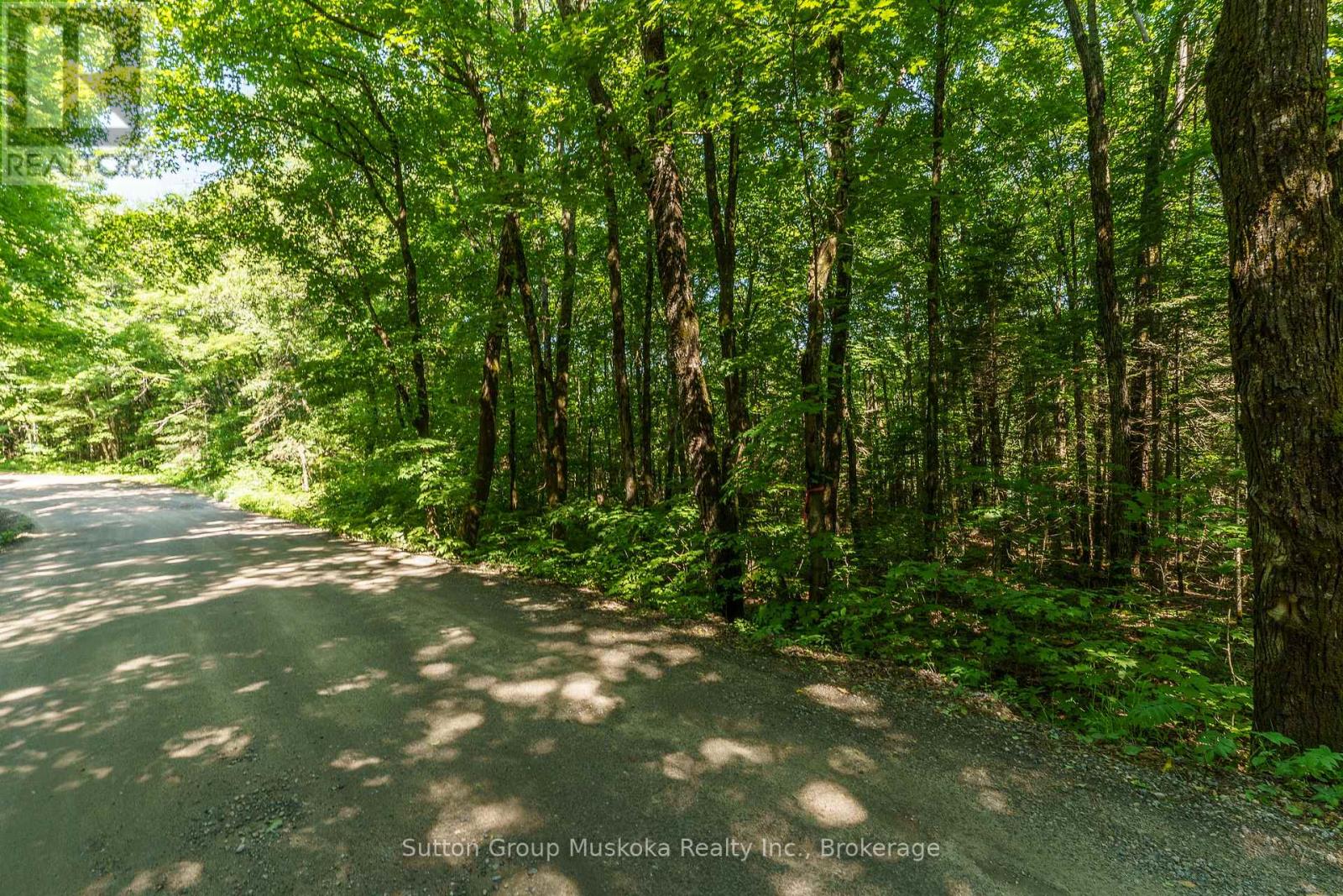 Lot 2 - 0 Sunset Pass Road, Armour, Ontario  P0A 1L0 - Photo 4 - X12113036