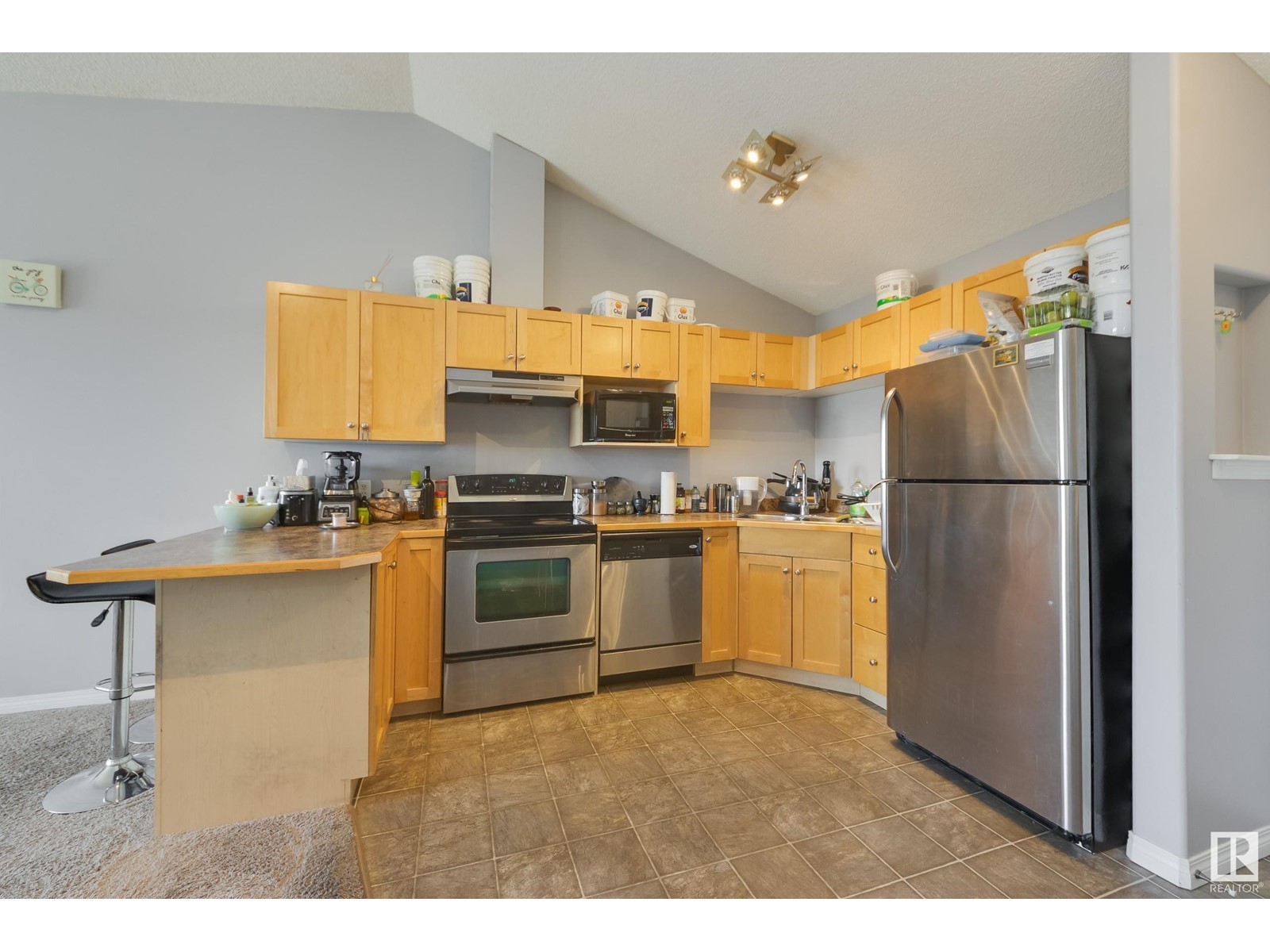 #408 3425 19 St Nw, Edmonton, Alberta  T6T 2B5 - Photo 5 - E4433409