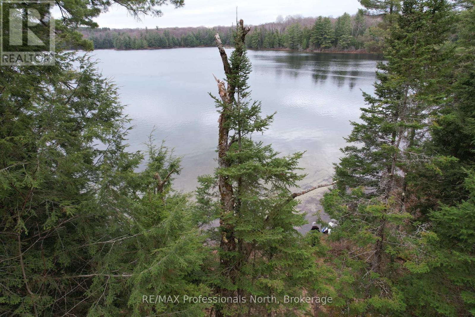1022 Chetwynd Rd Road, Armour, Ontario  P0A 1C0 - Photo 3 - X12067958