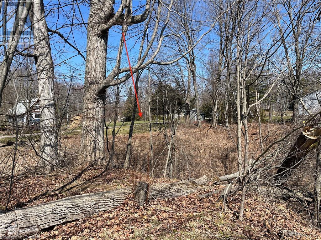 527 Avalon Lane, Simcoe, Ontario  N3Y 4K2 - Photo 20 - 40695474