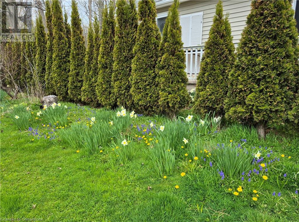 527 Avalon Lane, Simcoe, Ontario  N3Y 4K2 - Photo 8 - 40695474