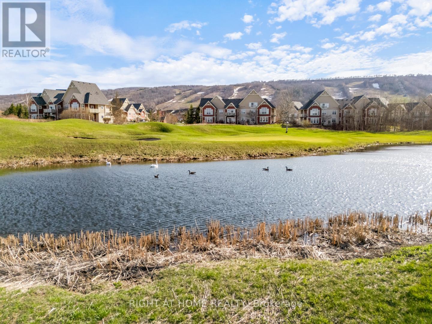 229 - 130 Fairway Court, Blue Mountains, Ontario  N3W 1Y1 - Photo 6 - X12113064