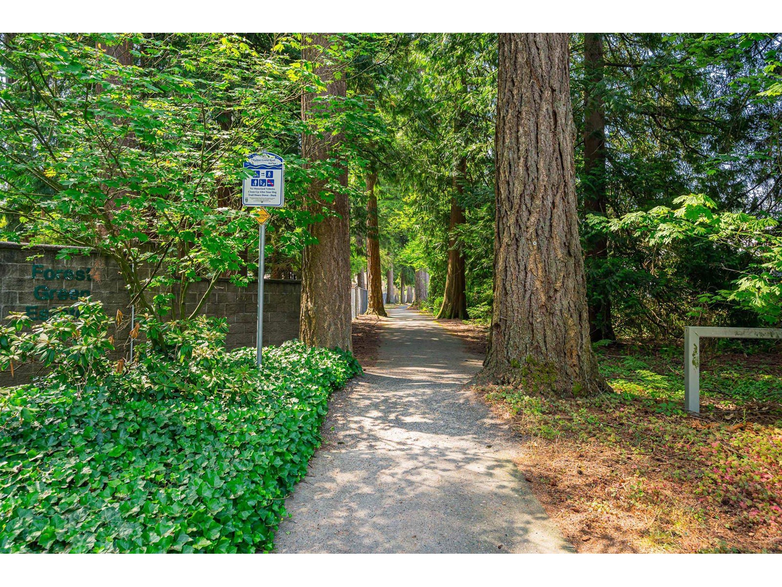 36 9080 198 Street, Langley, British Columbia  V2Z 1T7 - Photo 39 - R2992139