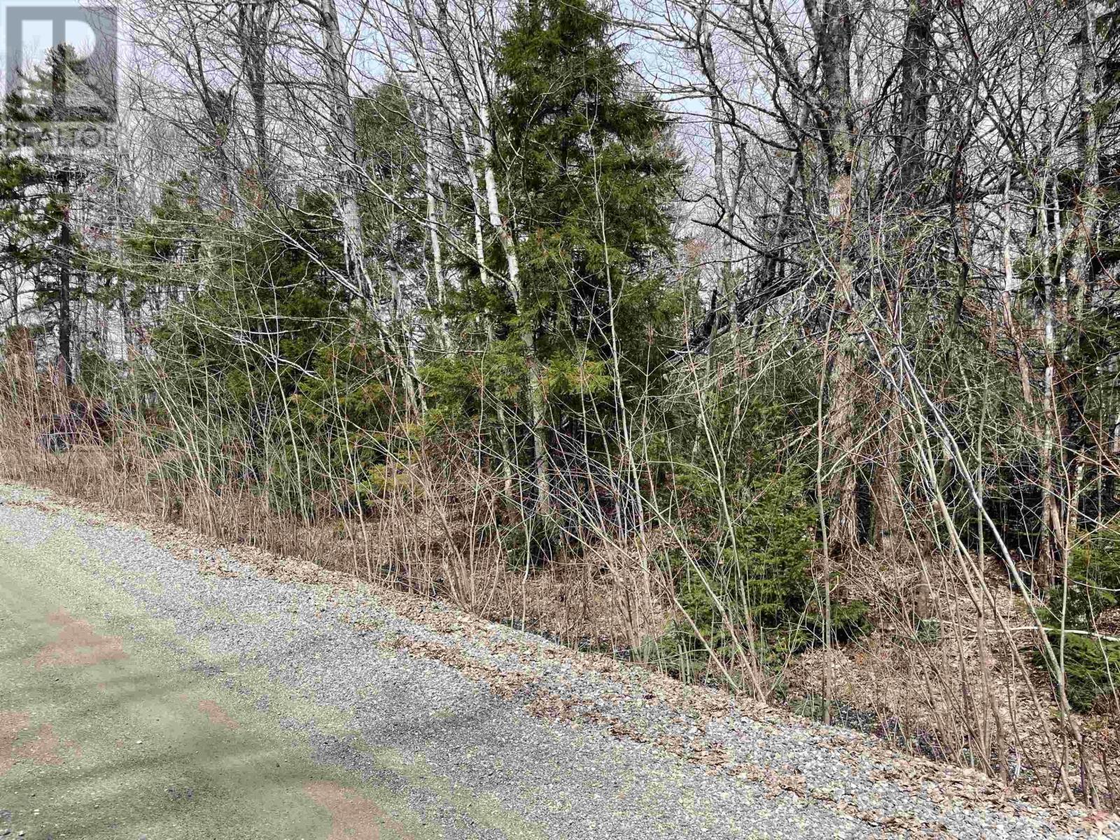 99-2a Casey Road, Carrington, Nova Scotia  B0K 1K0 - Photo 3 - 202509280