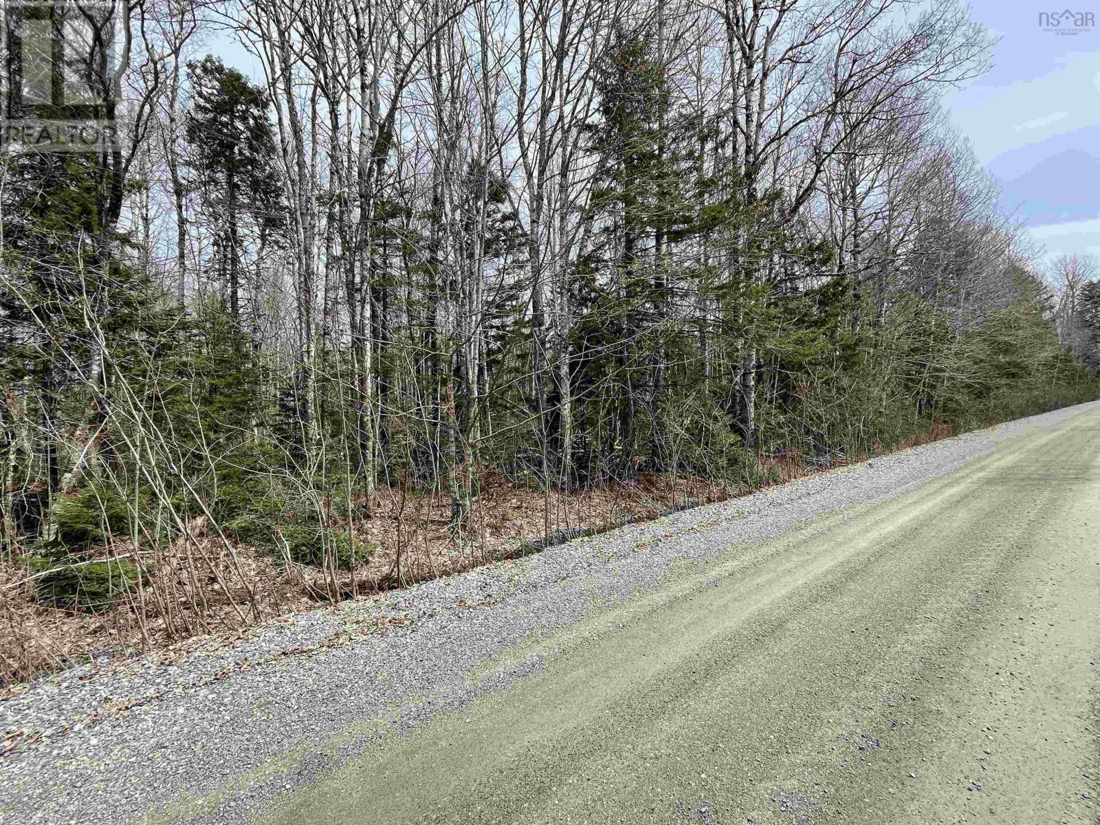 99-2a Casey Road, Carrington, Nova Scotia  B0K 1K0 - Photo 4 - 202509280