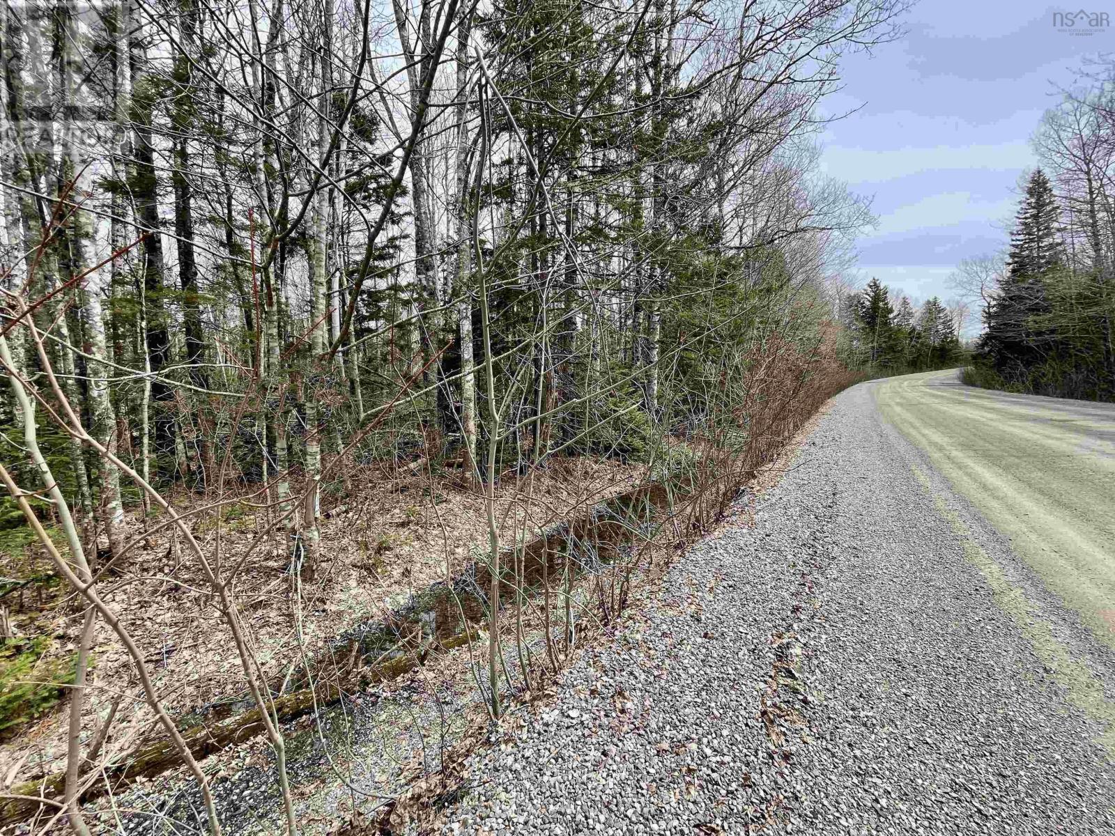 99-2a Casey Road, Carrington, Nova Scotia  B0K 1K0 - Photo 5 - 202509280