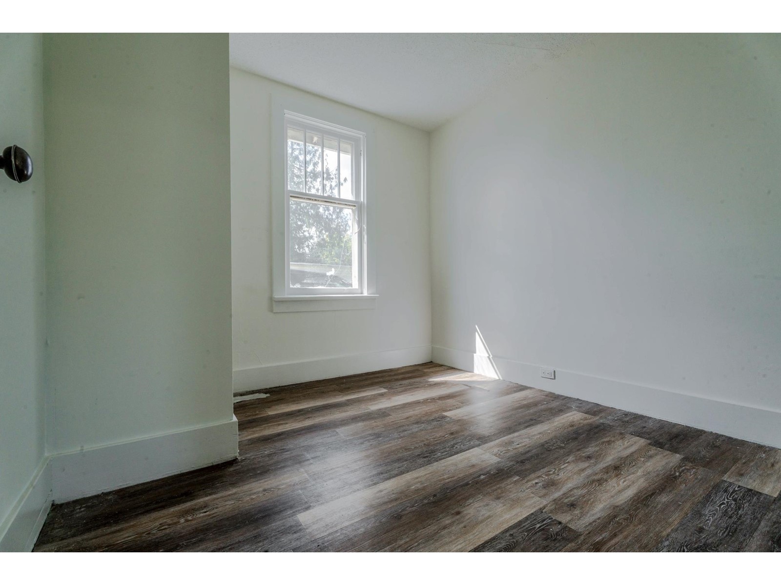 49215 Yale Road, East Chilliwack, Chilliwack, British Columbia  V4Z 0B2 - Photo 12 - R2995824