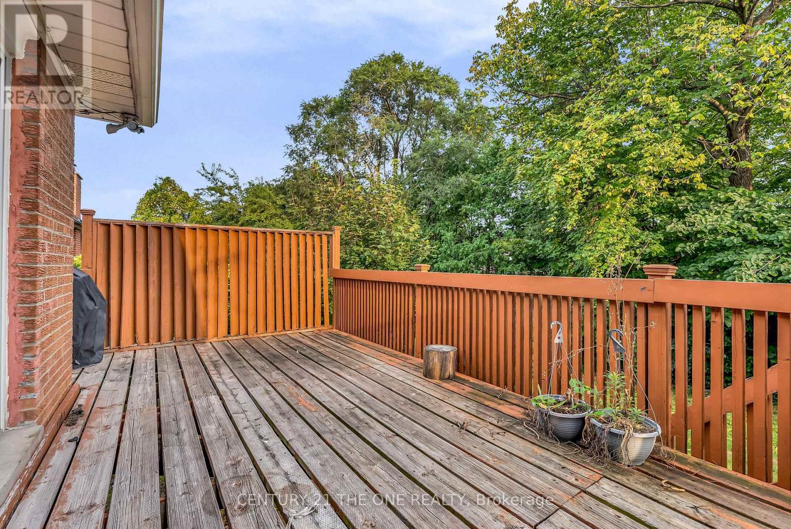 225 Maxome Avenue, Toronto, Ontario  M2M 3L3 - Photo 37 - C12086431