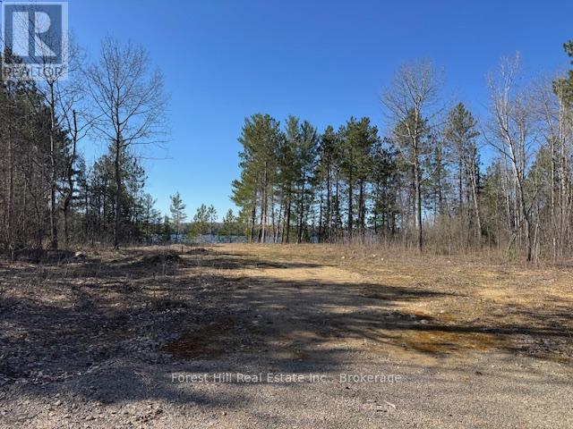 4185 Kawagama Lake Road, Algonquin Highlands, Ontario  P0A 1E0 - Photo 32 - X12112602