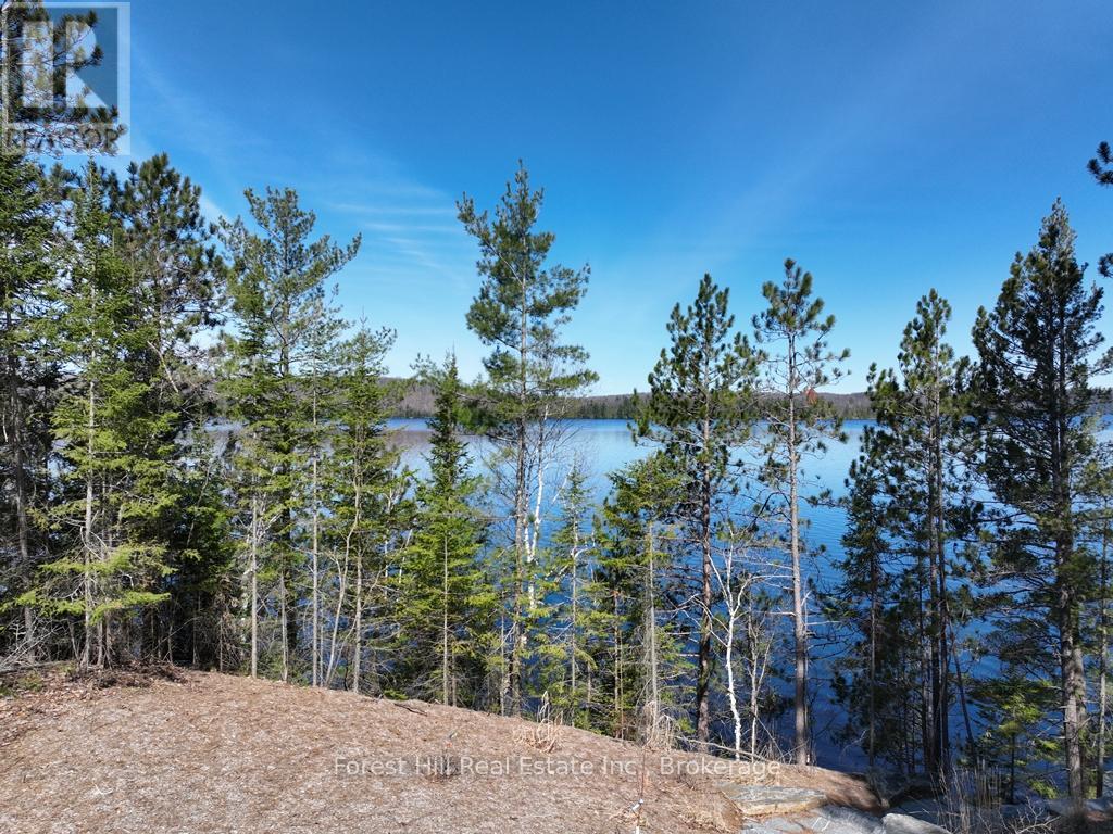4185 Kawagama Lake Road, Algonquin Highlands, Ontario  P0A 1E0 - Photo 39 - X12112602