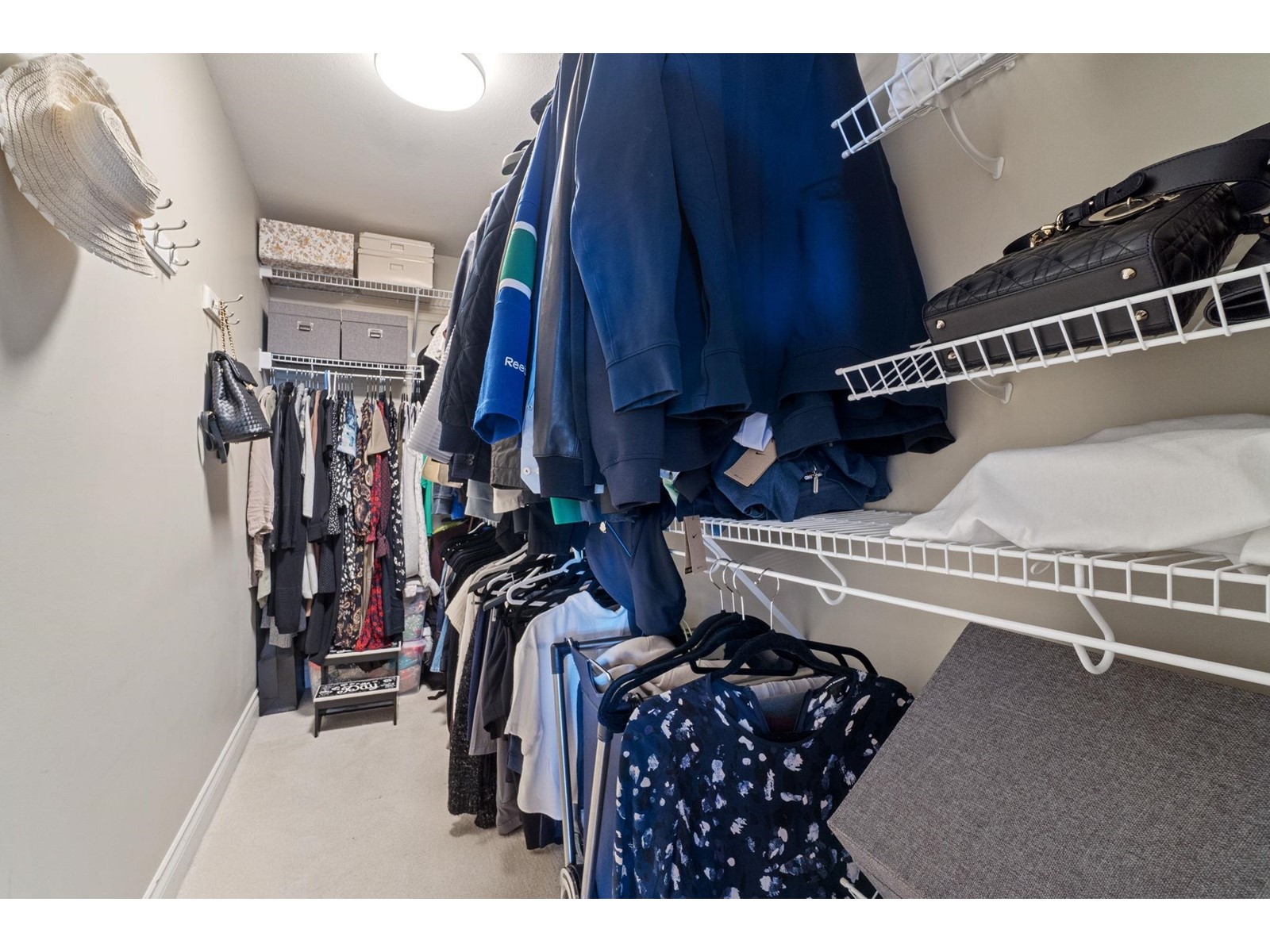 16966 Friesian Drive, Surrey, British Columbia  V3S 8P3 - Photo 25 - R2996362