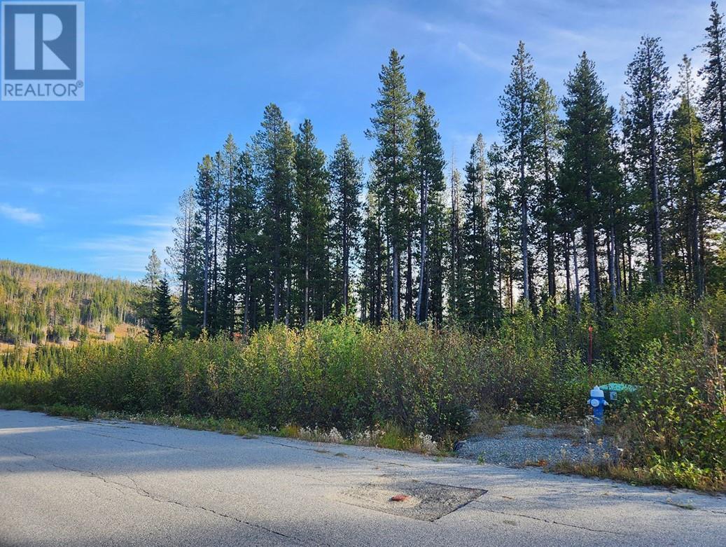 Lot 21 Buck Road, Mount Baldy, British Columbia  V0H 1T8 - Photo 2 - 10345711