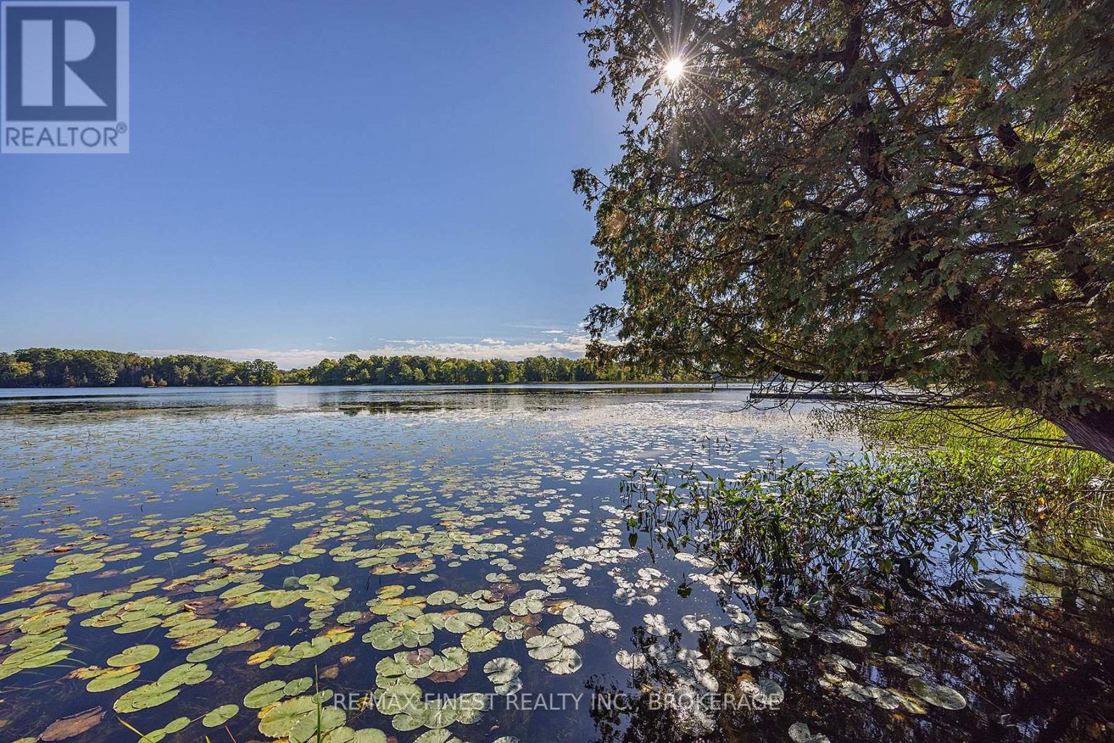 4522 Sills Bay Road, South Frontenac, Ontario  K0H 2T0 - Photo 48 - X12113589