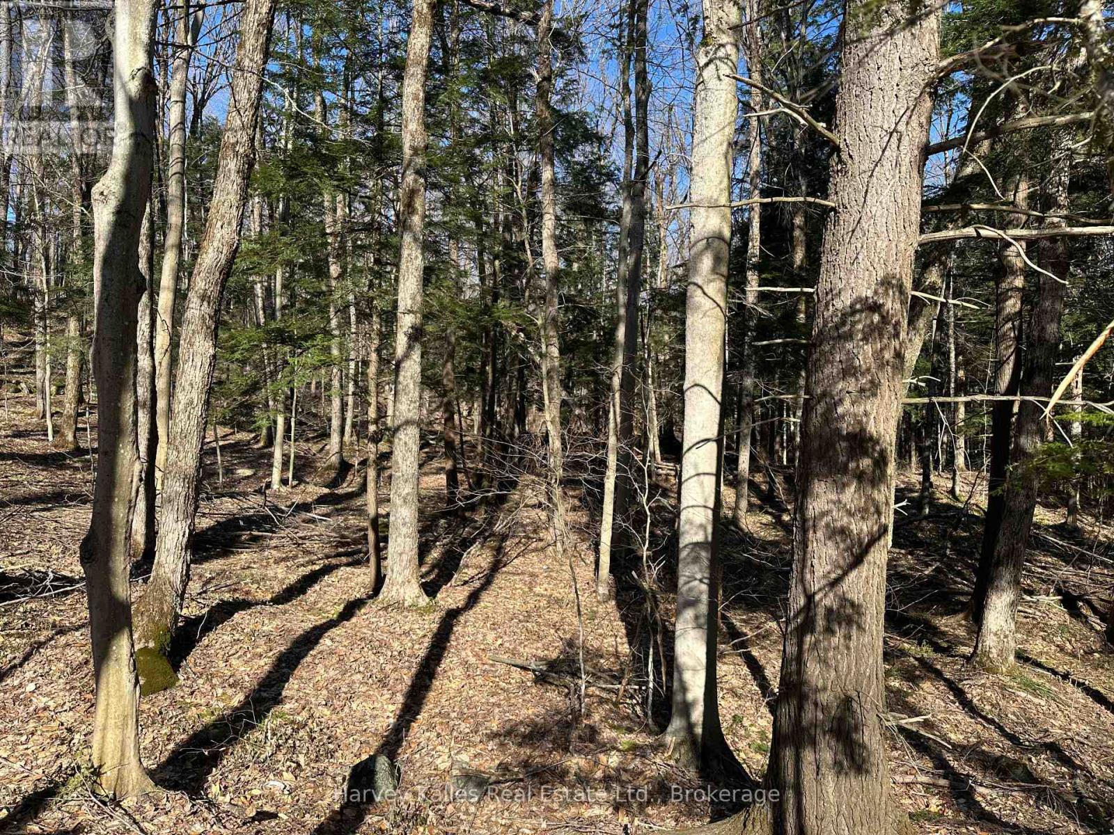 CON 1 PT LOT 12 BARLOCHAN ROAD, Muskoka Lakes, Ontario