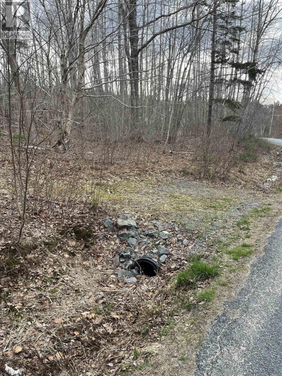 Lot 2 Sarty Road, Camperdown, Nova Scotia  B4V 0X6 - Photo 2 - 202509321