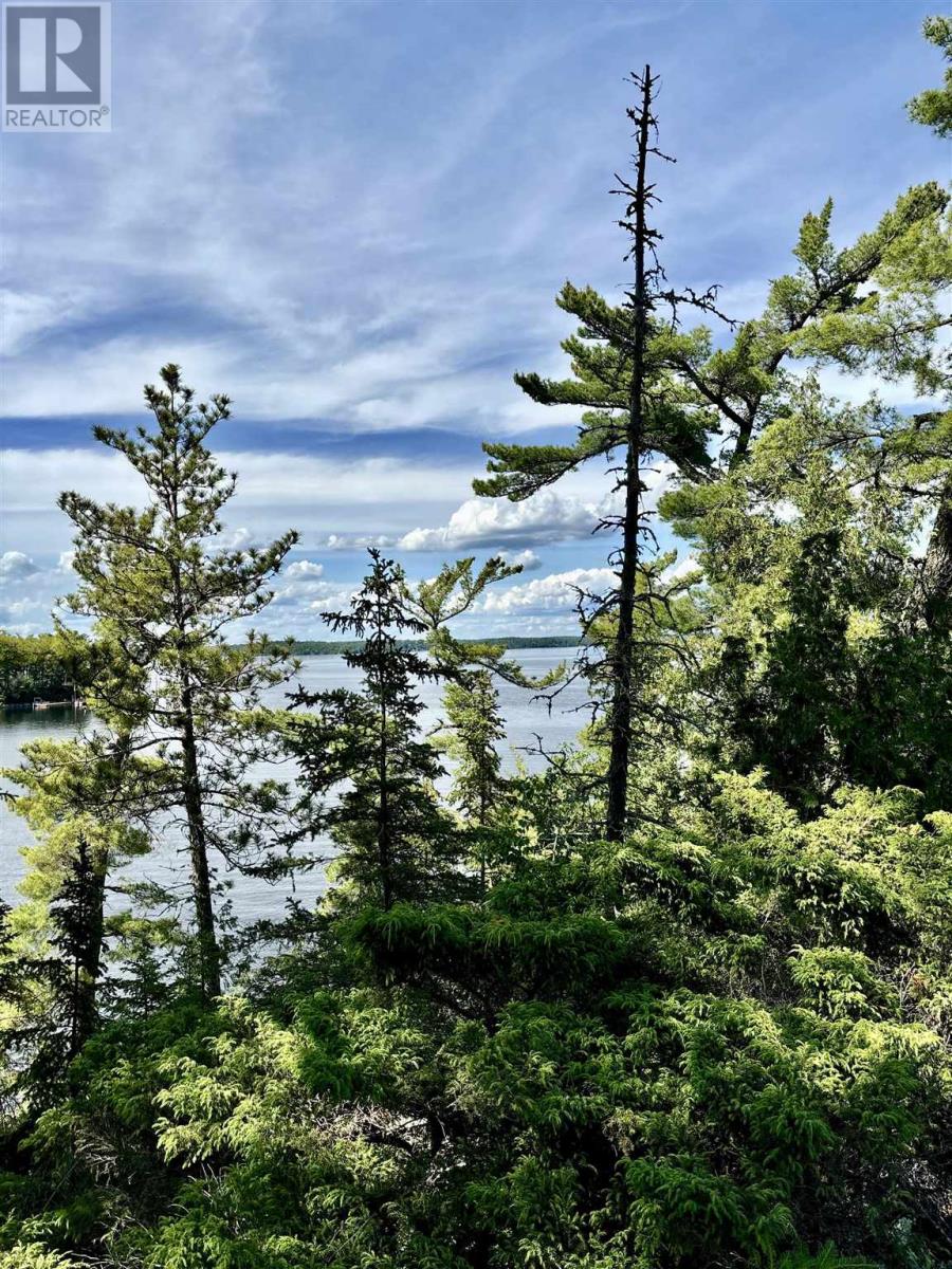 5 Hay Island, Lake Of The Woods, S Of Kenora, Ontario  P0X 1H0 - Photo 35 - TB250674