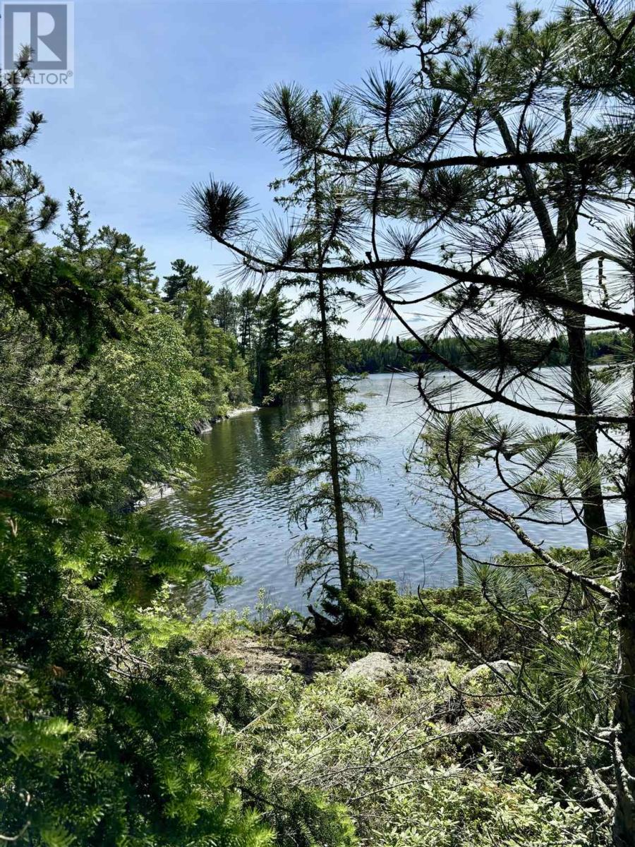 5 Hay Island, Lake Of The Woods, S Of Kenora, Ontario  P0X 1H0 - Photo 40 - TB250674