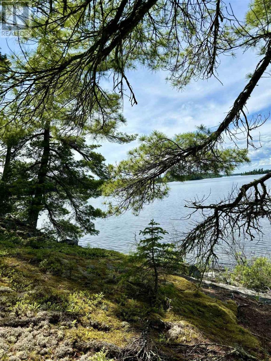 5 Hay Island, Lake Of The Woods, S Of Kenora, Ontario  P0X 1H0 - Photo 44 - TB250674