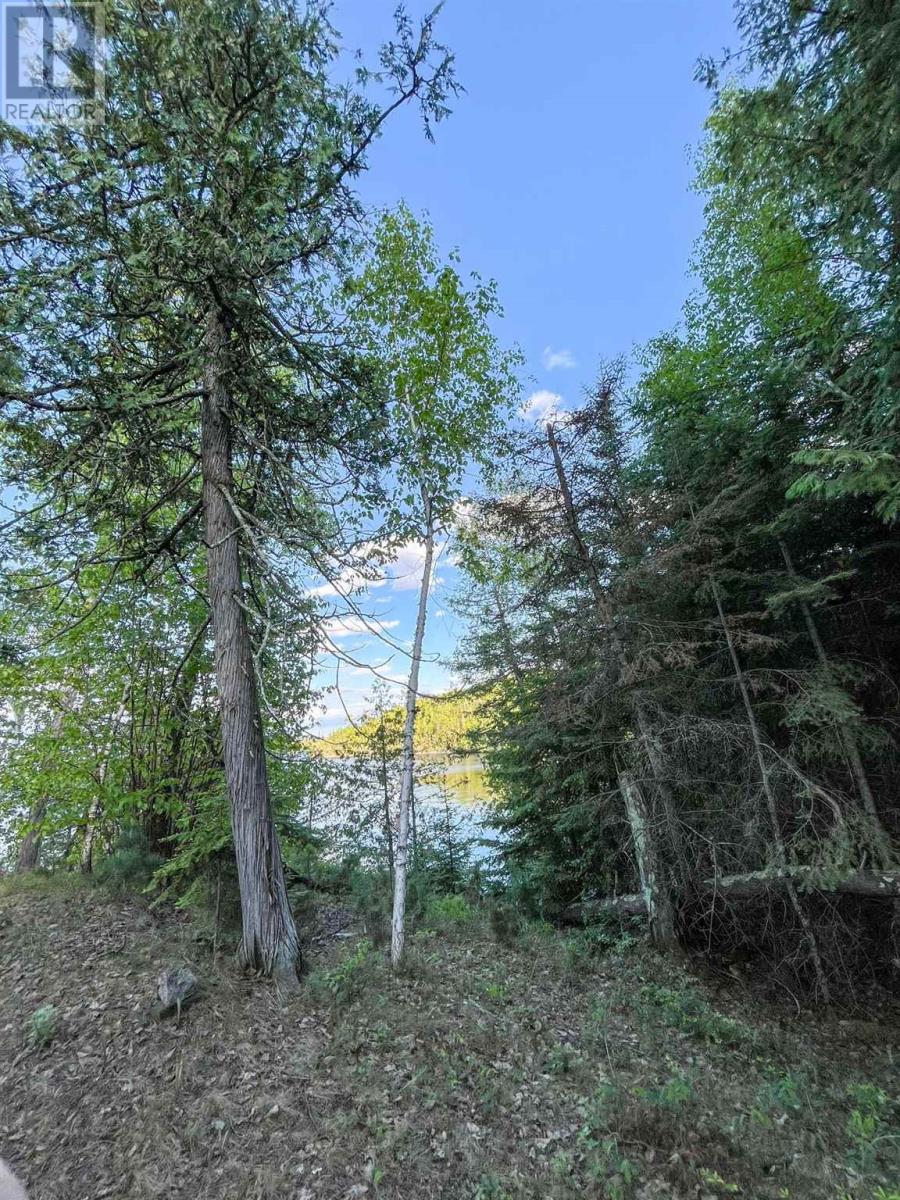 11 Hay Island, Lake Of The Woods, S Of Kenora, Ontario  P0X 1H0 - Photo 4 - TB250647